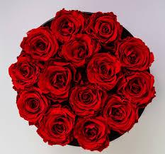 roses for her